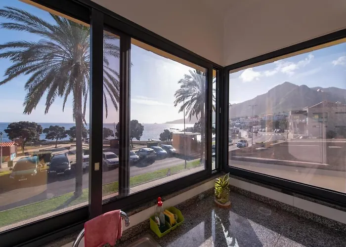 Amarelo * Canical (Madeira)